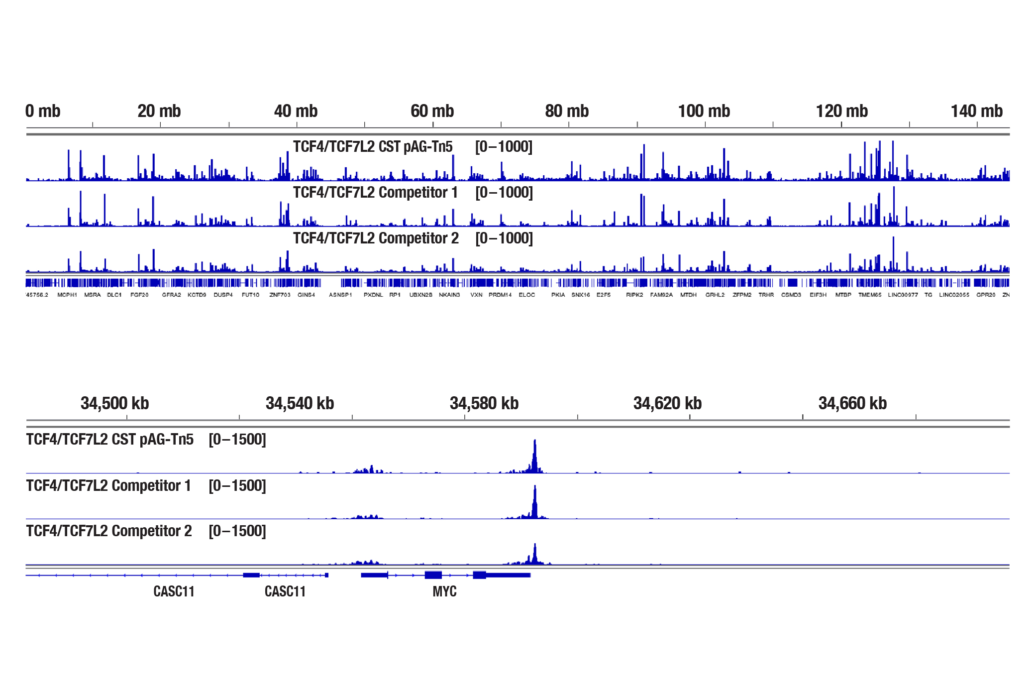 Overview_4X_Image-10B